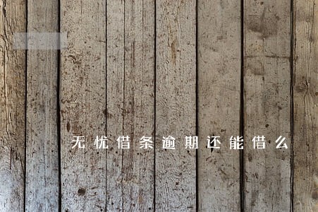 无忧借条逾期还能借么 无忧借条逾期还能借么