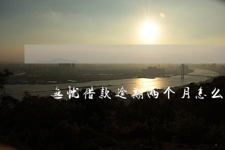 无忧借款逾期两个月怎么办 无忧借款逾期两个月怎么办