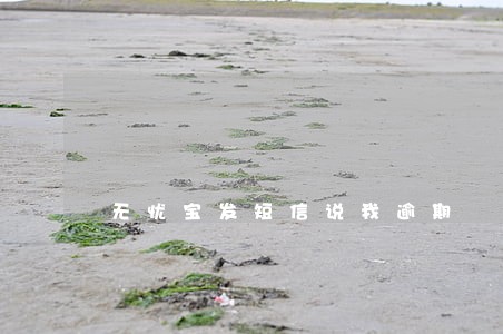 无忧宝发短信说我逾期 无忧宝发短信说我逾期