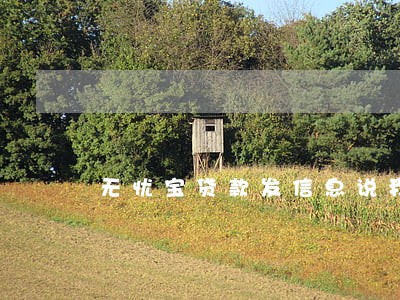 无忧宝贷款发信息说我逾期了 无忧宝贷款发信息说我逾期了