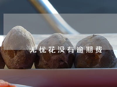 无忧花没有逾期费 无忧花没有逾期费