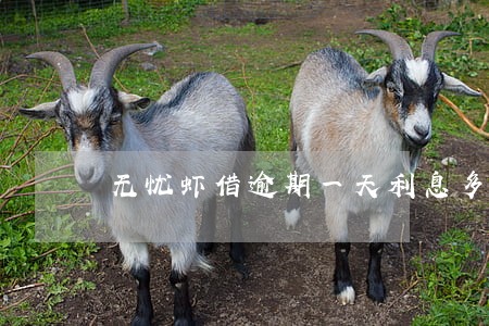 无忧虾借逾期一天利息多少钱 无忧虾借逾期一天利息多少钱