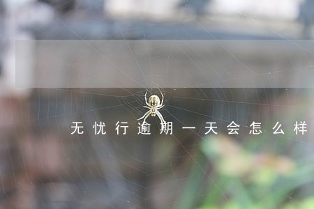 无忧行逾期一天会怎么样 无忧行逾期一天会怎么样