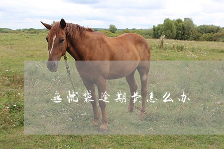 无忧袋逾期费怎么办 无忧袋逾期费怎么办