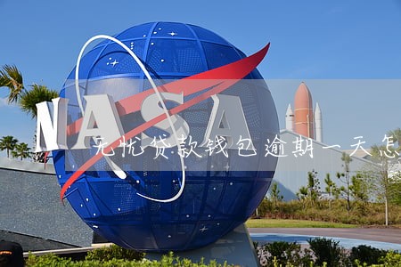 无忧贷款钱包逾期一天怎么办 无忧贷款钱包逾期一天怎么办