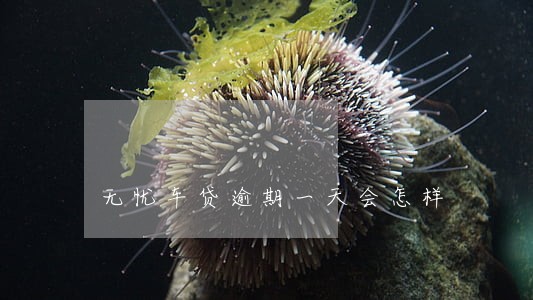 无忧车贷逾期一天会怎样 无忧车贷逾期一天会怎样