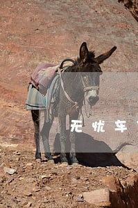无忧车贷逾期三个月 无忧车贷逾期三个月