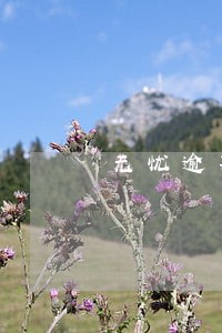 无忧逾期一天爆通讯录 无忧逾期一天爆通讯录
