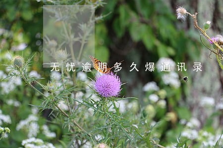 无忧逾期多久爆通讯录 无忧逾期多久爆通讯录