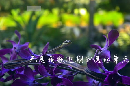 无息借款逾期利息起草点 无息借款逾期利息起草点