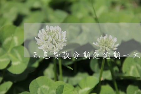 无息贷款分期还逾期一天会怎样 无息贷款分期还逾期一天会怎样