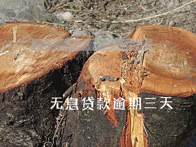 无息贷款逾期三天 无息贷款逾期三天