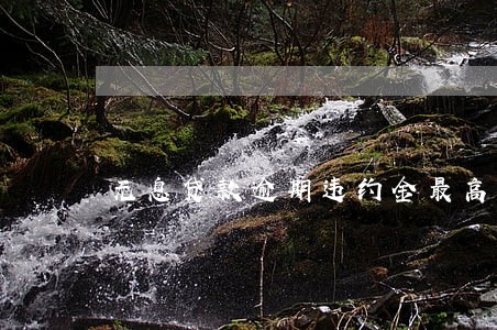 无息贷款逾期违约金最高限额6 无息贷款逾期违约金最高限额6