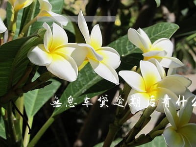 无息车贷逾期后有什么后果 无息车贷逾期后有什么后果
