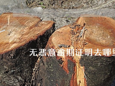 无恶意逾期证明去哪里开 无恶意逾期证明去哪里开