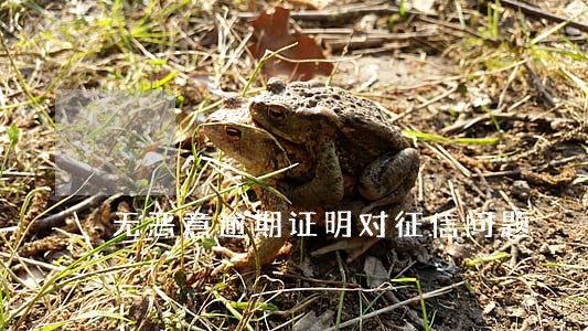 无恶意逾期证明对征信问题 无恶意逾期证明对征信问题