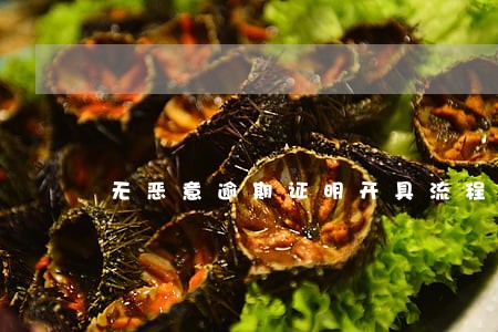无恶意逾期证明开具流程