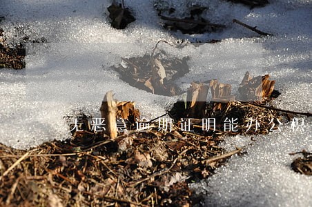 无恶意逾期证明能办公积金吗 无恶意逾期证明能办公积金吗