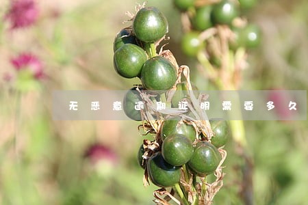 无恶意逾期证明需要多久 无恶意逾期证明需要多久