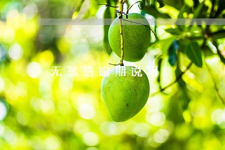 无恶意逾期说明
