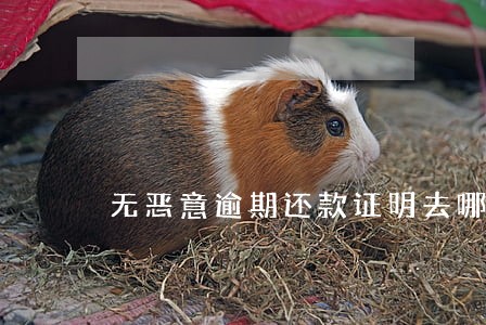 无恶意逾期还款证明去哪里开 无恶意逾期还款证明去哪里开