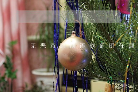 无恶意逾期还款证明在哪里开 无恶意逾期还款证明在哪里开