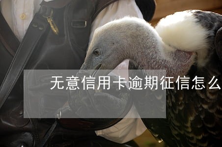无意信用卡逾期征信怎么恢复正常