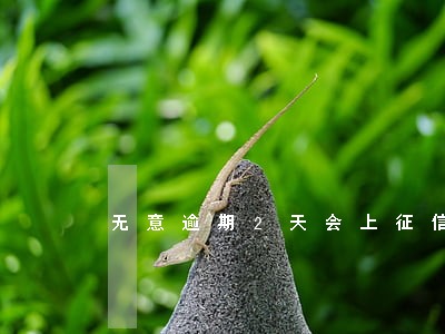 无意逾期2天会上征信吗