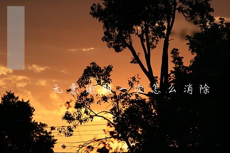 无意逾期一次怎么消除 无意逾期一次怎么消除