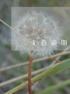 无意逾期证明好办吗 无意逾期证明好办吗