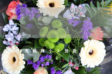 无抵押个人贷款逾期 无抵押个人贷款逾期