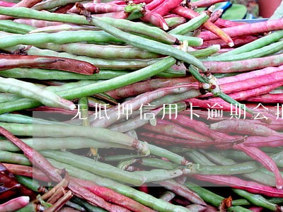 无抵押信用卡逾期会扣车吗 无抵押信用卡逾期会扣车吗