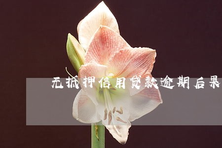 无抵押信用贷款逾期后果 无抵押信用贷款逾期后果