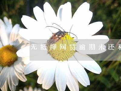 无抵押网贷逾期未还利息