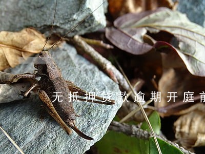 无抵押贷款逾期开庭前调解 无抵押贷款逾期开庭前调解