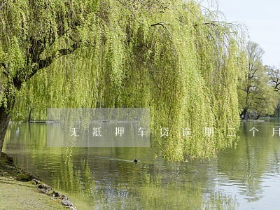 无抵押车贷逾期三个月 无抵押车贷逾期三个月