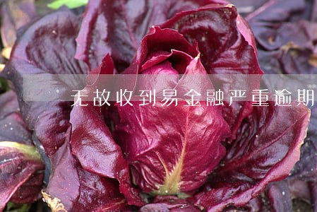 无故收到易金融严重逾期短信 无故收到易金融严重逾期短信