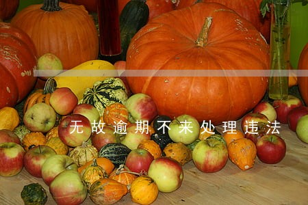 无故逾期不来处理违法