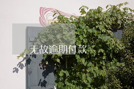 无故逾期付款 无故逾期付款