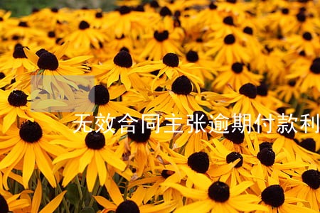 无效合同主张逾期付款利息 无效合同主张逾期付款利息