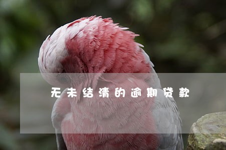 无未结清的逾期贷款 无未结清的逾期贷款