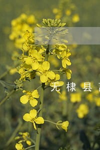 无棣县离婚律师收费 无棣县离婚律师收费