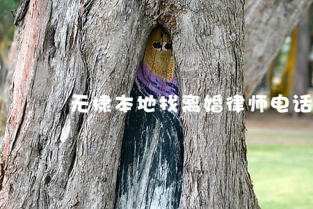 无棣本地找离婚律师电话
