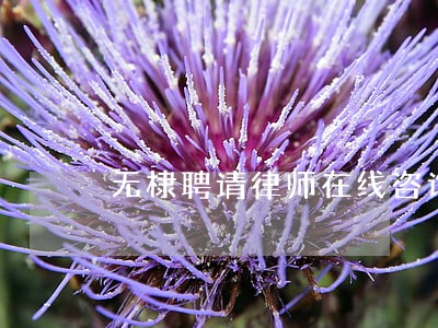 无棣聘请律师在线咨询 无棣聘请律师在线咨询