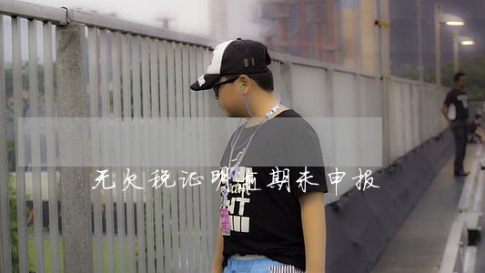 无欠税证明逾期未申报