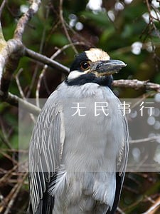 无民事行为能力人逾期催收