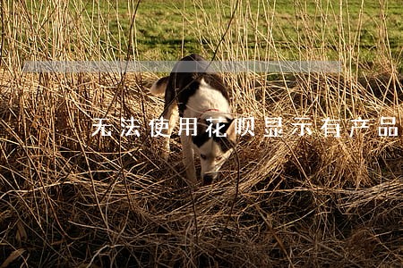 无法使用花呗显示有产品逾期