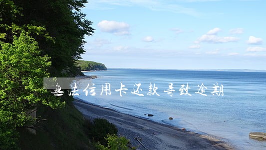 无法信用卡还款导致逾期 无法信用卡还款导致逾期