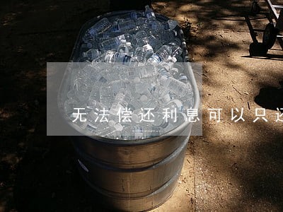 无法偿还利息可以只还本金吗 无法偿还利息可以只还本金吗