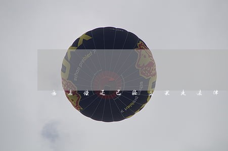 无法偿还已经立案走法律程序 无法偿还已经立案走法律程序